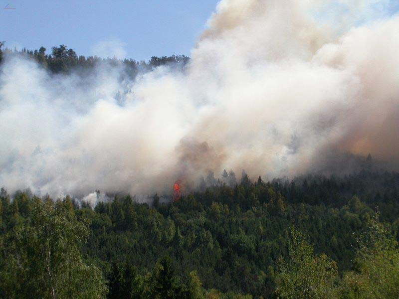 A huge amount of smoke emerges from a devastating forest fire. The smoke travels high in the air and is blown a long distance in the wind.