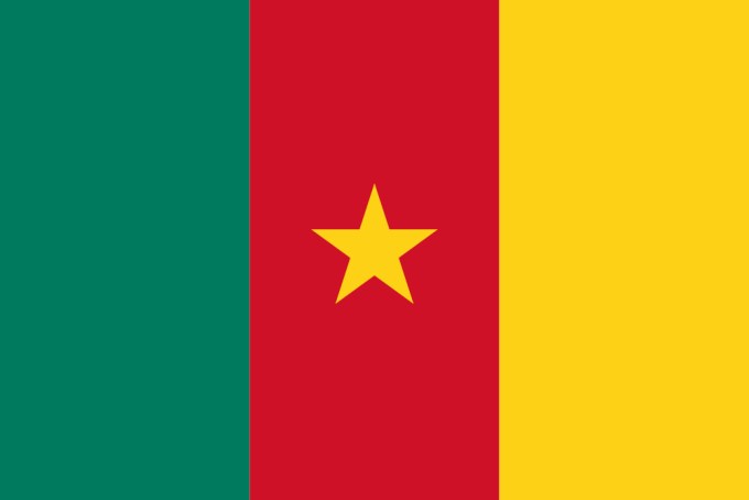 Flag of Cameroon