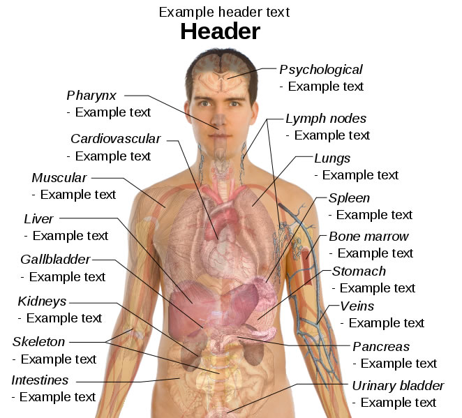 This male diagram template lists important parts of the body and gives users the chance to write their own descriptions under the various body part headings.